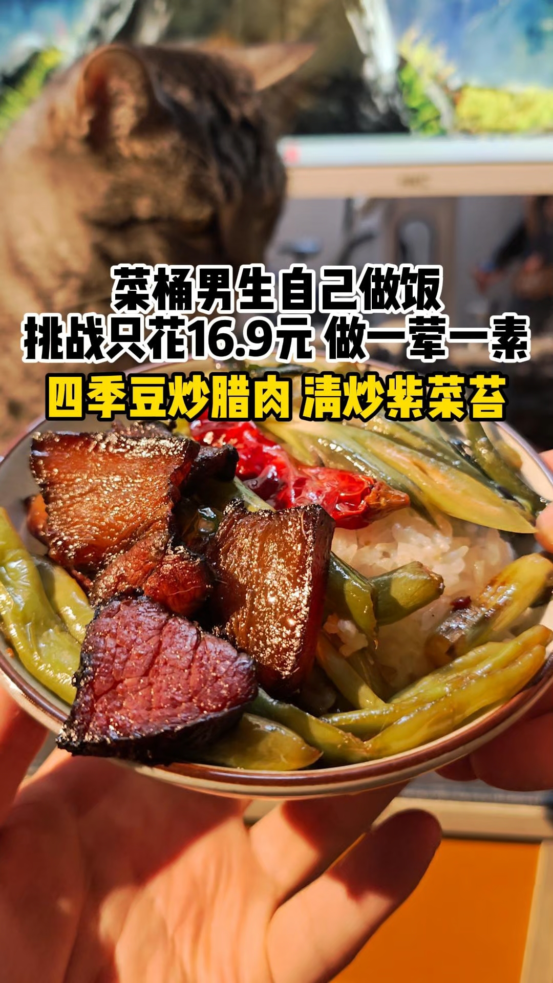 湖南腊肉配上四季豆是真的下饭，配上紫菜苔好解腻。