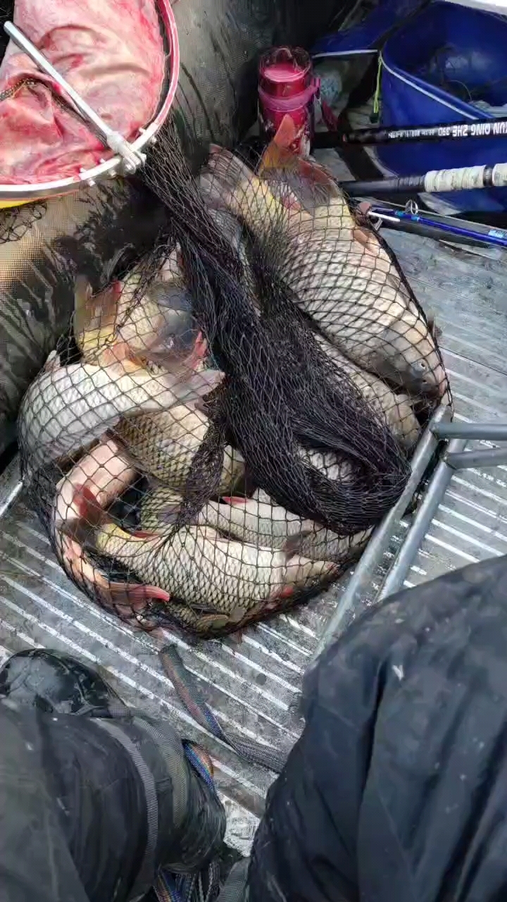 潮白河船钓可视锚鱼