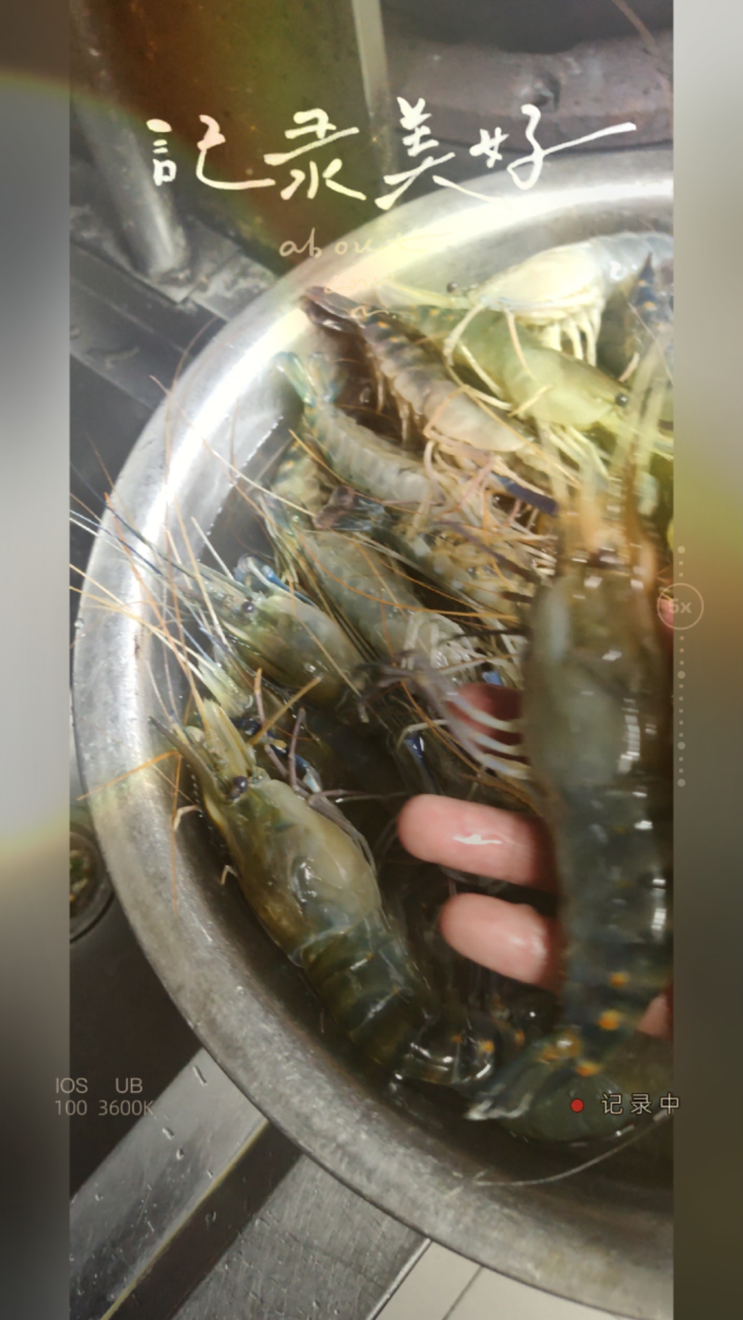 一斤6~8只精品罗氏虾,熟醉罗氏虾