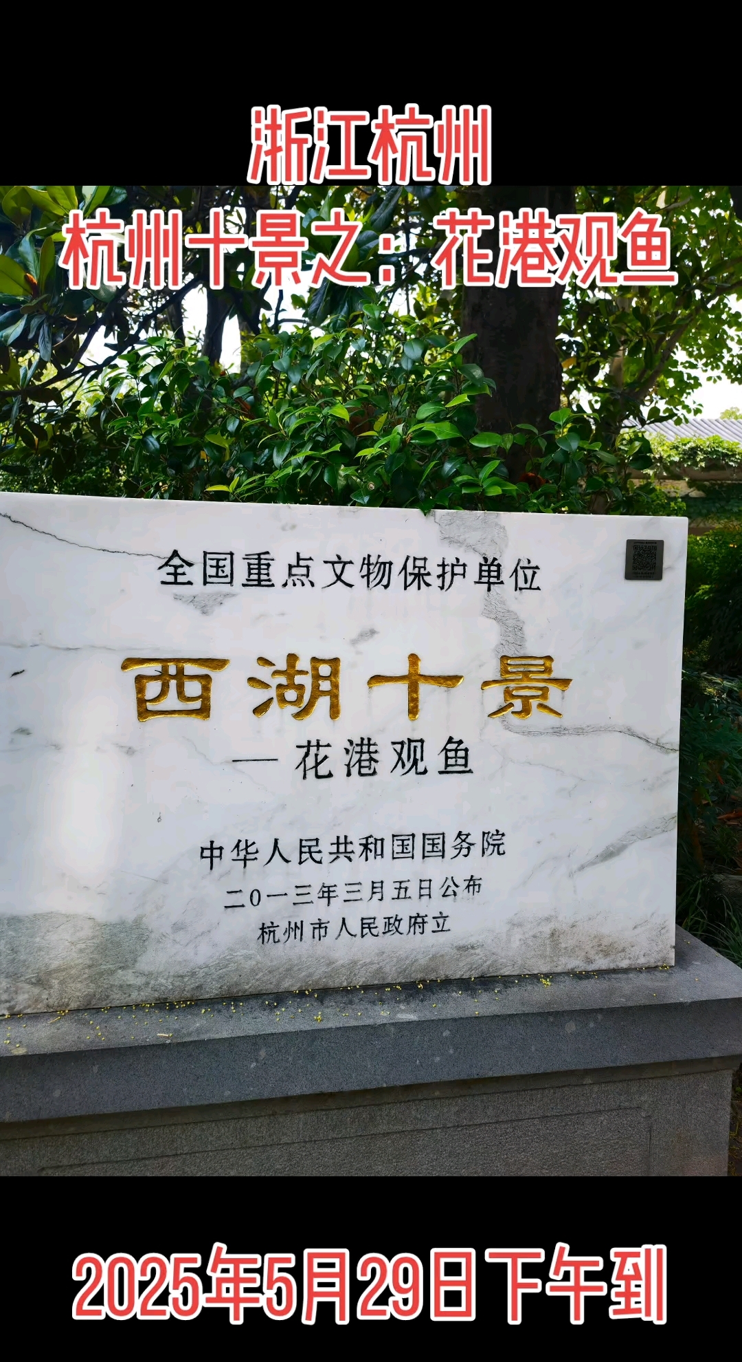 花港观鱼