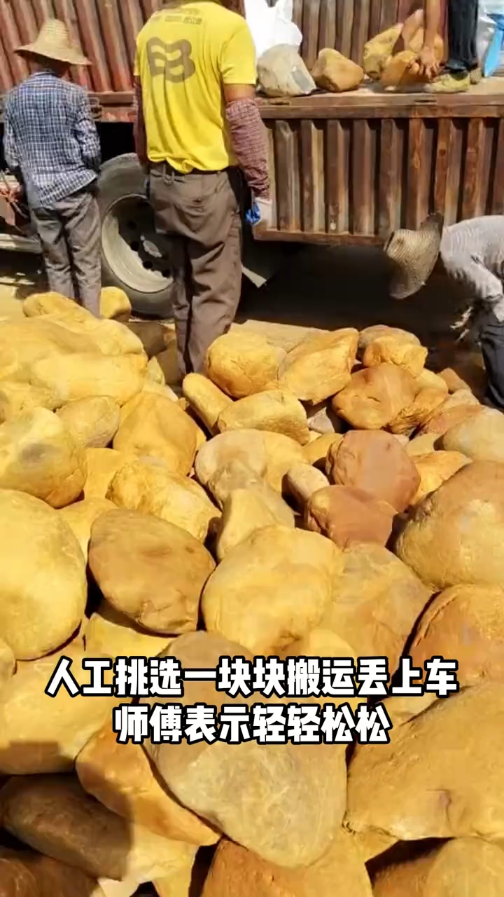 6吨黄蜡石人工装车 #吨位黄蜡石 #草坪景观石 #鱼池假山石