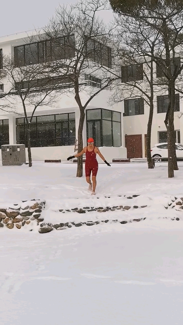 静静的海,静静的鸥,无声的雪。轻轻的我来了,不想打破这宁静。
