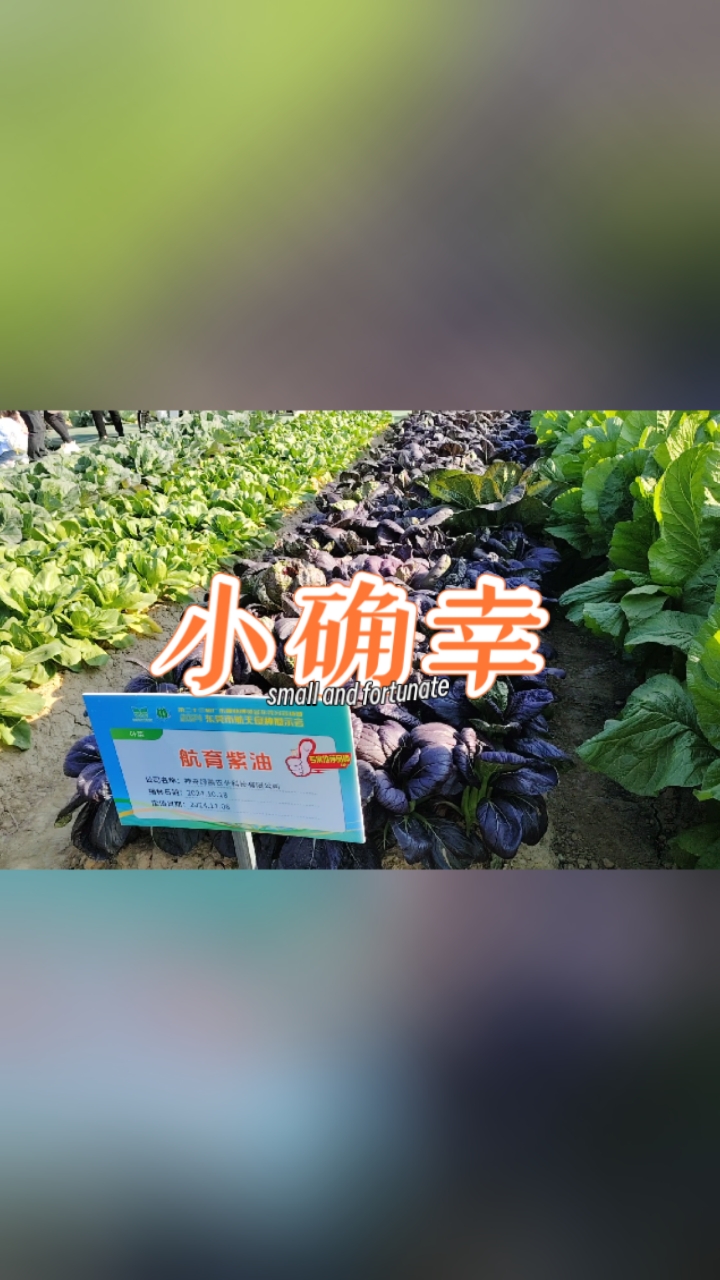 分享视频