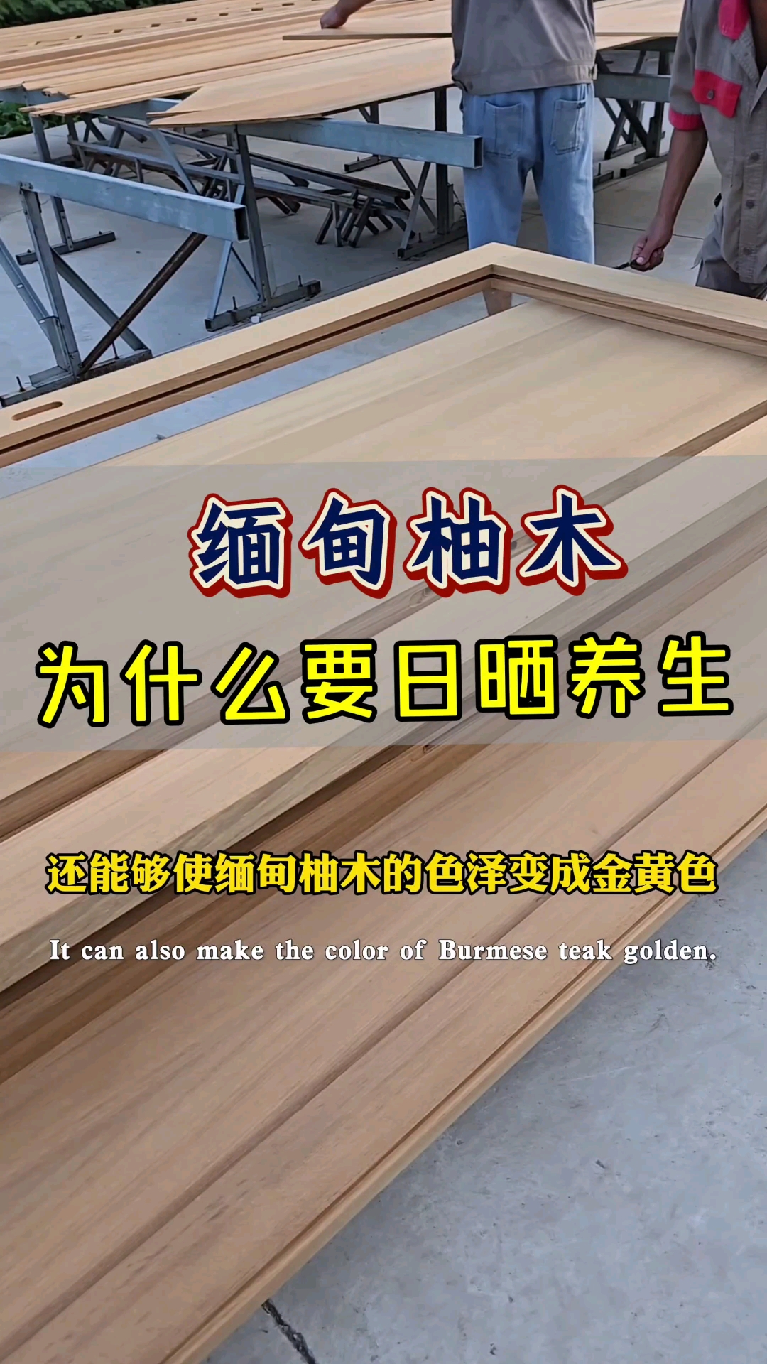 缅甸柚木越晒越漂亮!