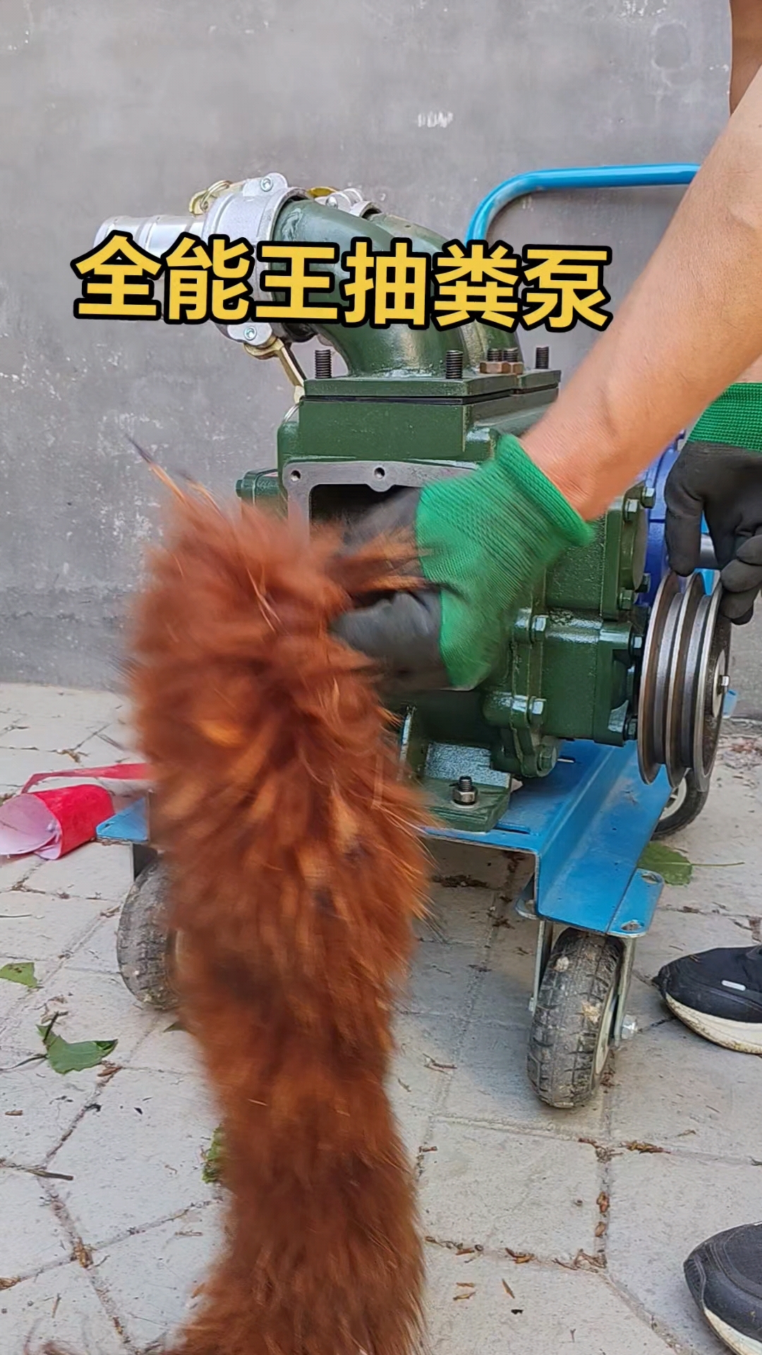 抽粪泵吸污抽粪泵泥浆泵化粪池沼气池鱼塘清淤工厂排