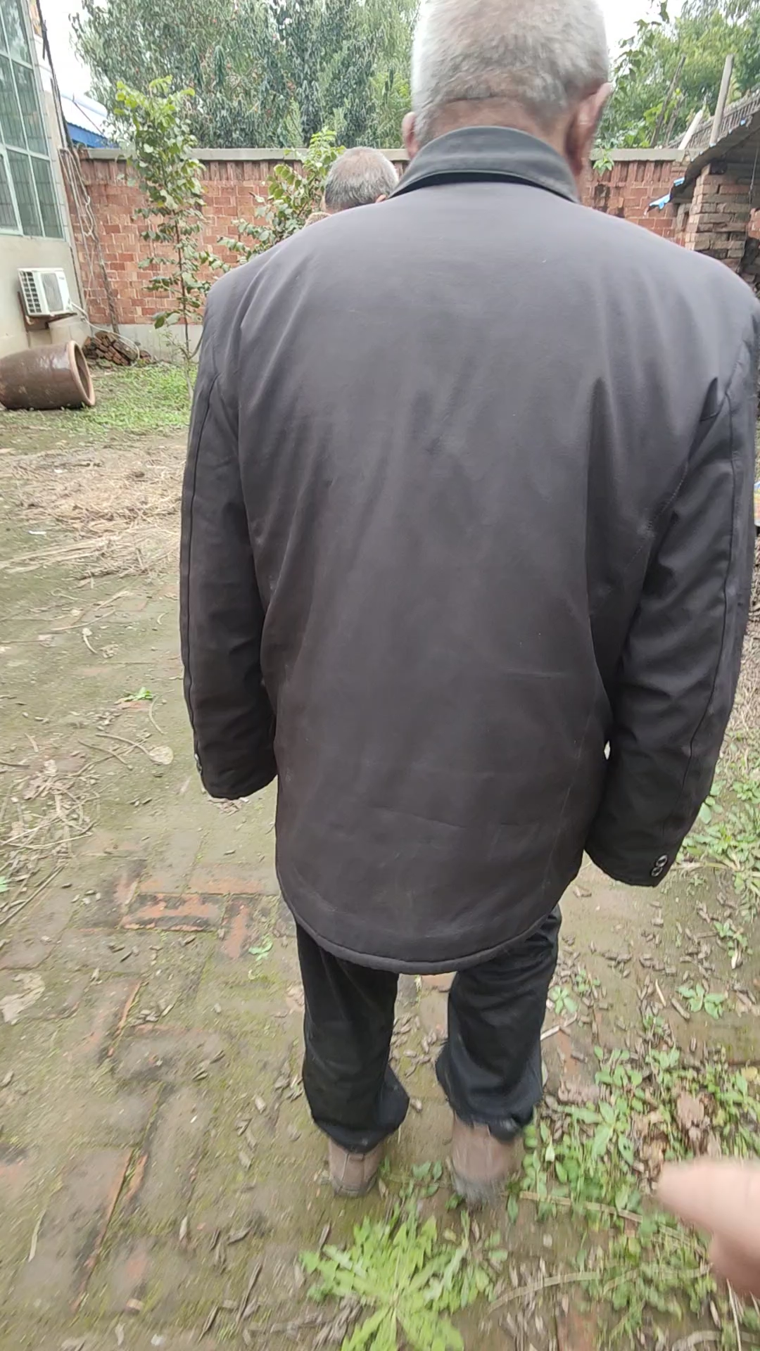 特大盘子