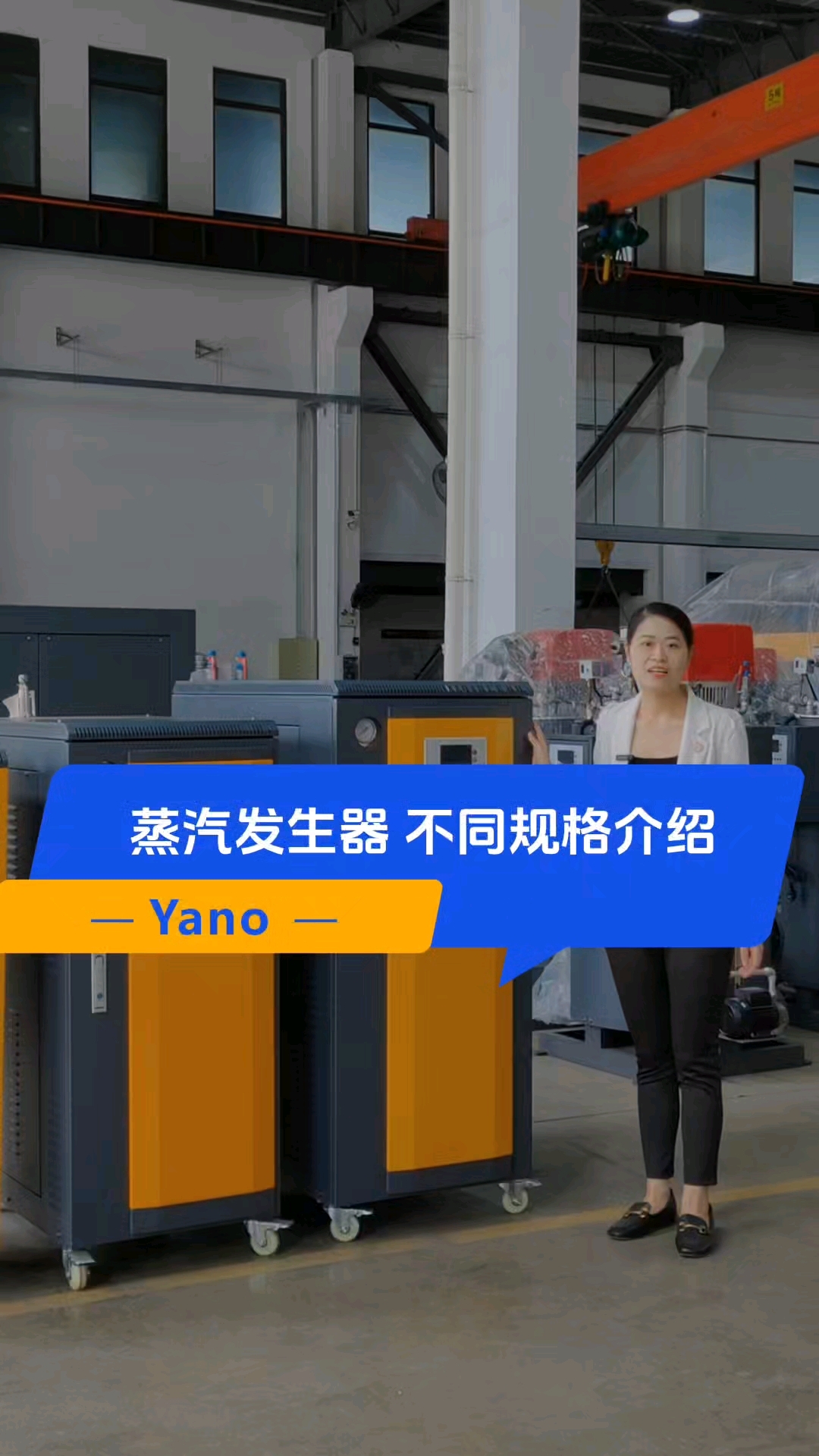 不同蒸汽发生器的规格介绍#蒸汽发生器#