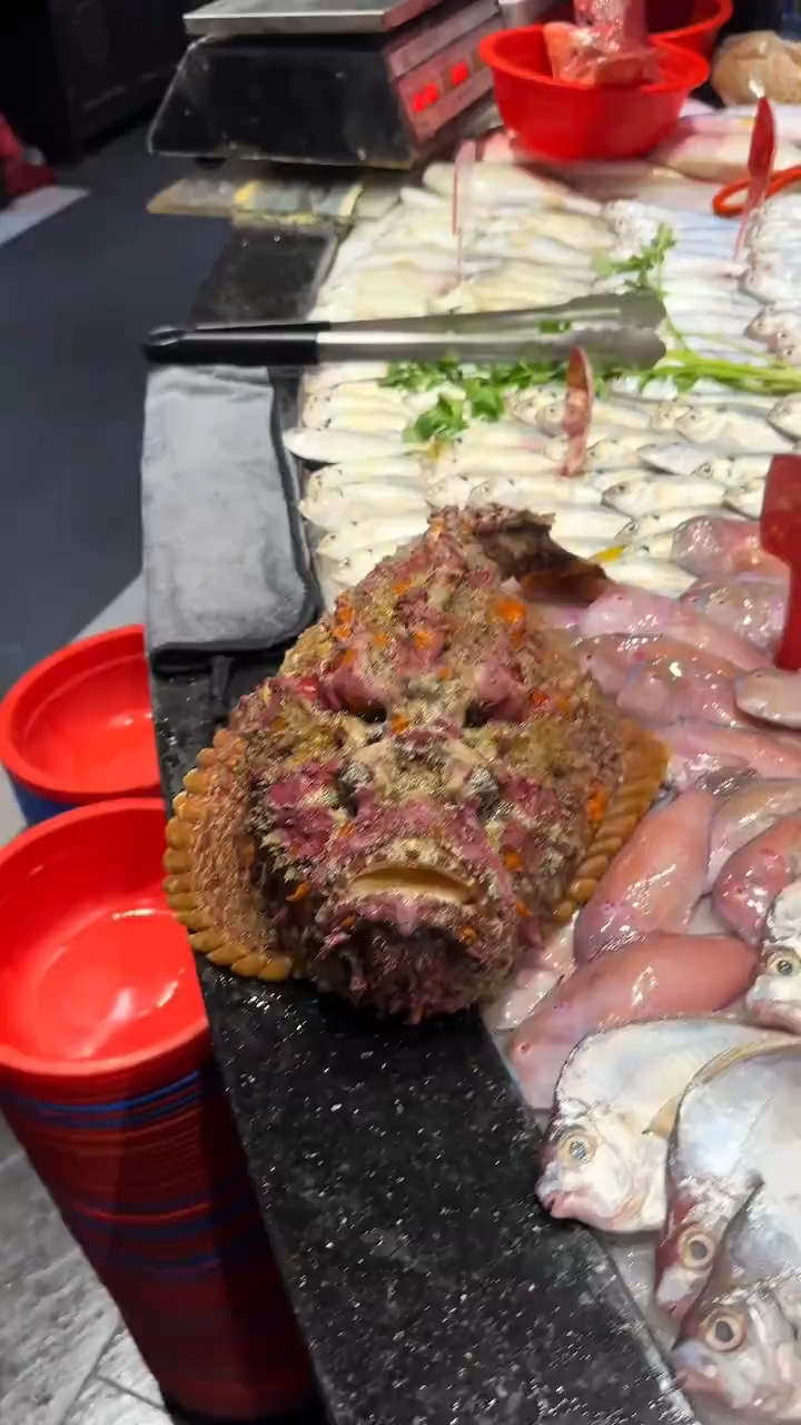 这是什么鱼能吃吗?#生猛海鲜摊# #奇葩海鱼现形记# #鱼摊惊魂夜#