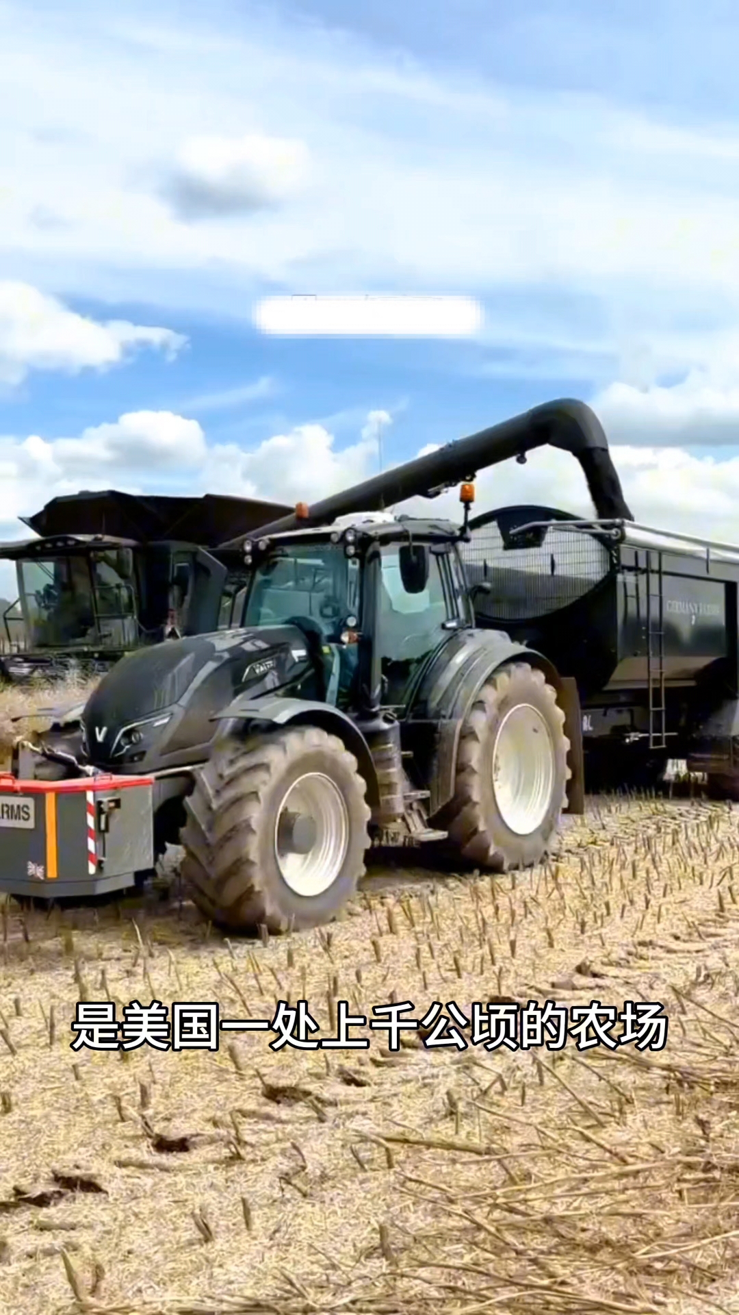 上千公顷油菜的收割场面甚是壮观