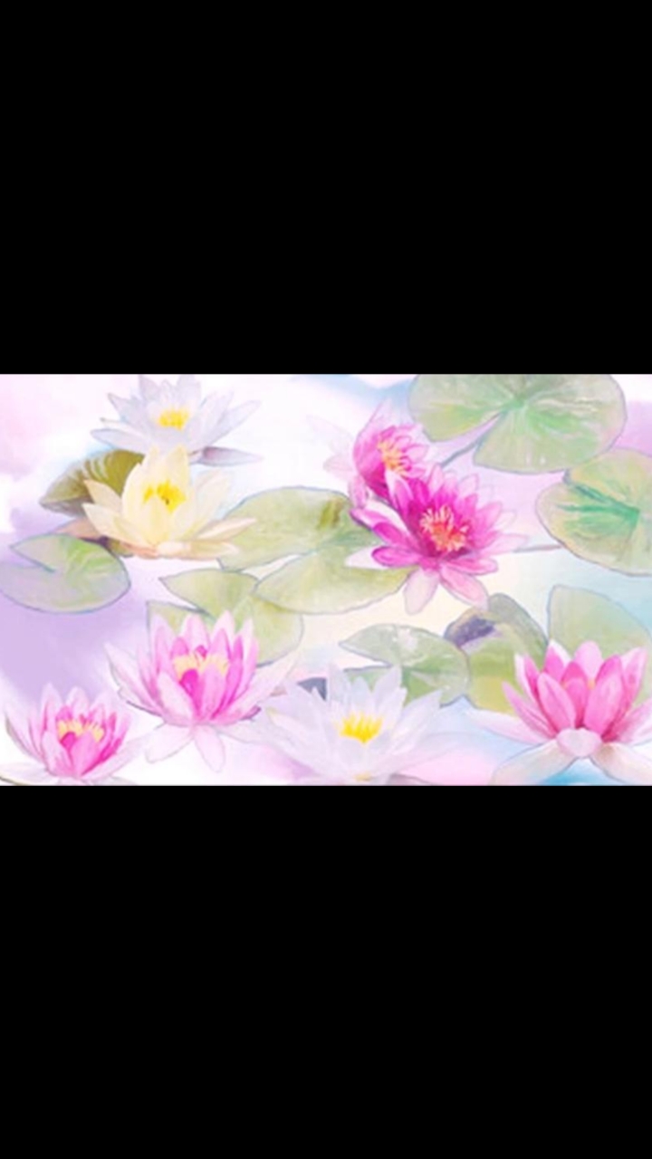 女生喜欢的花朵头像来了