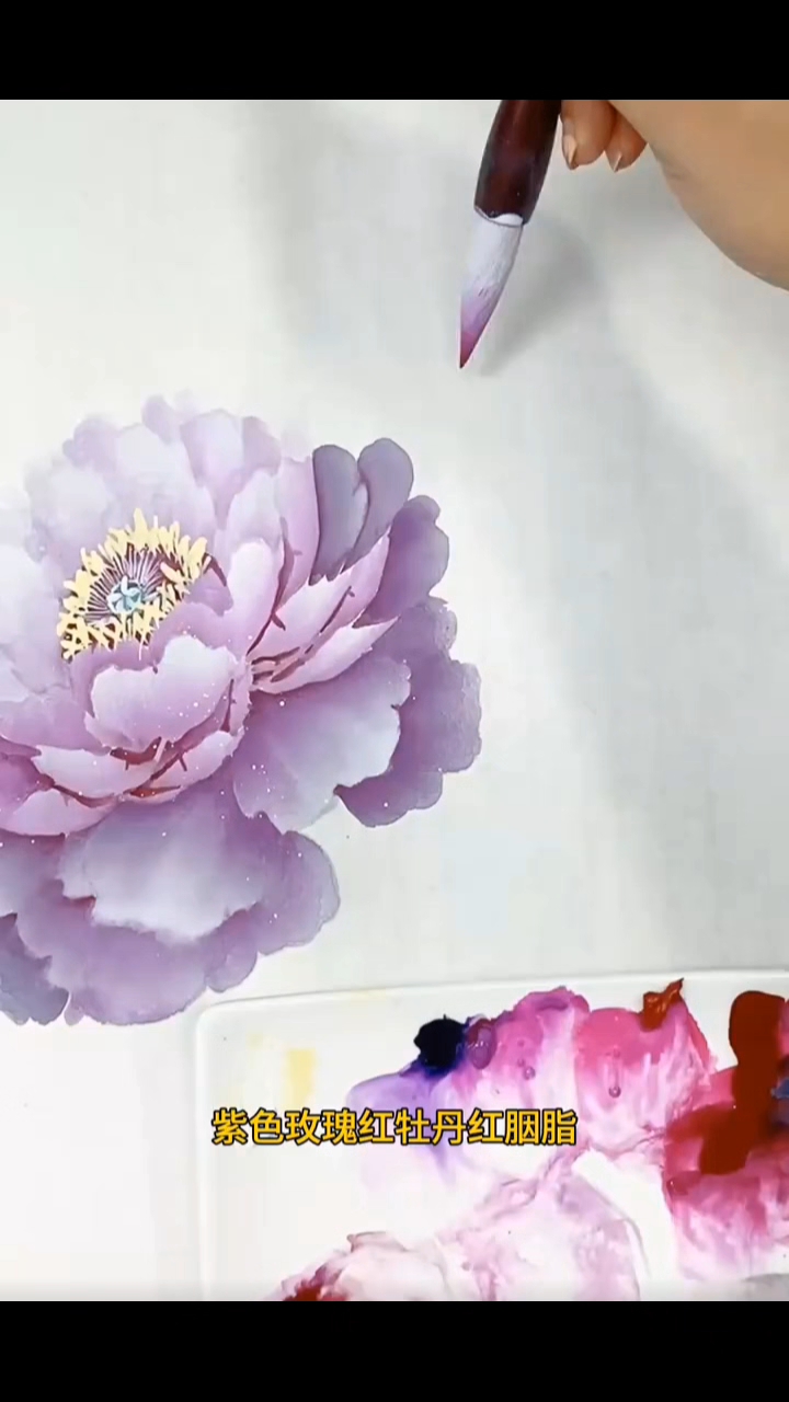 凝香系列之包菜分享给你