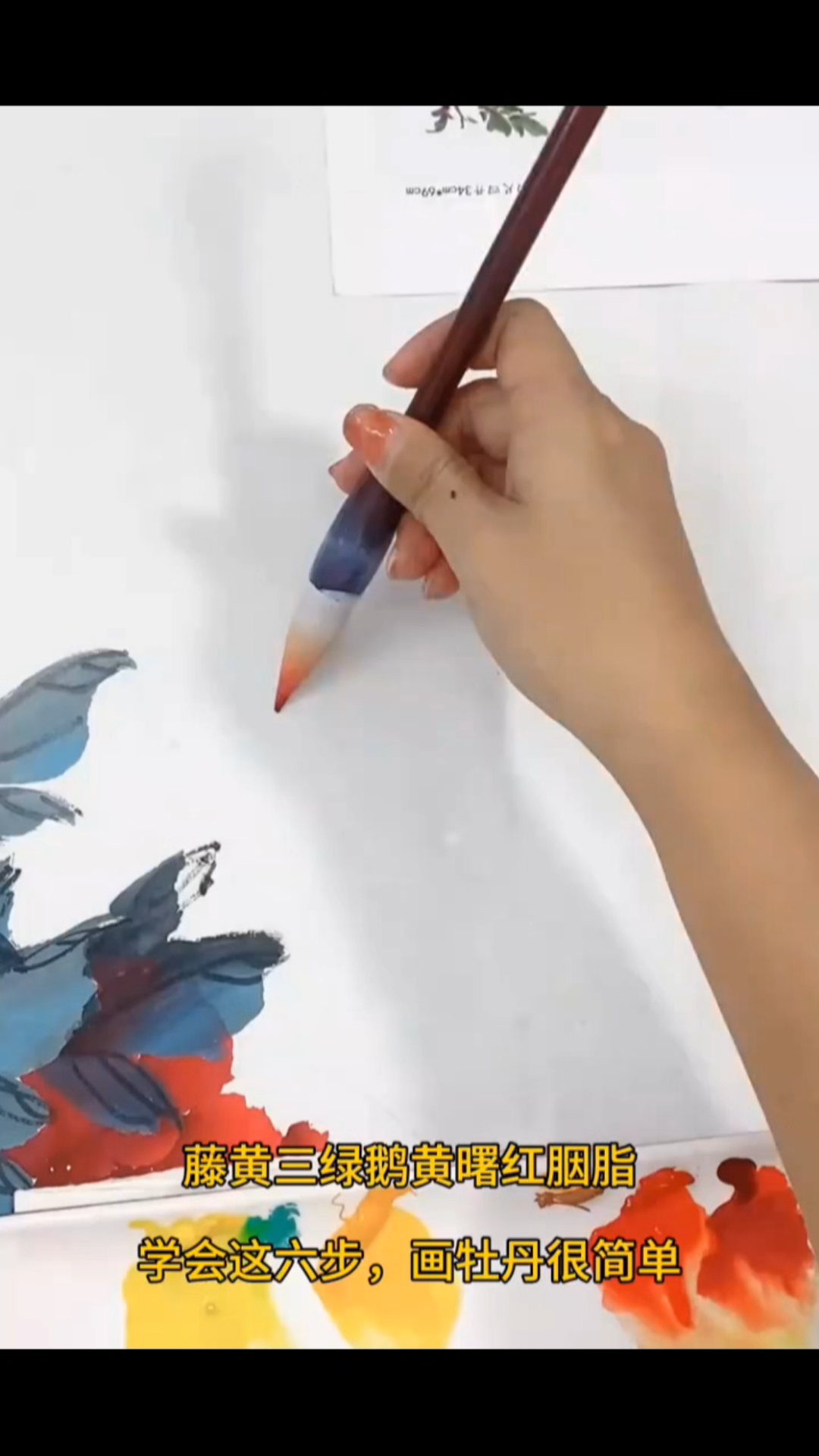 包菜牡丹绘画过程分享