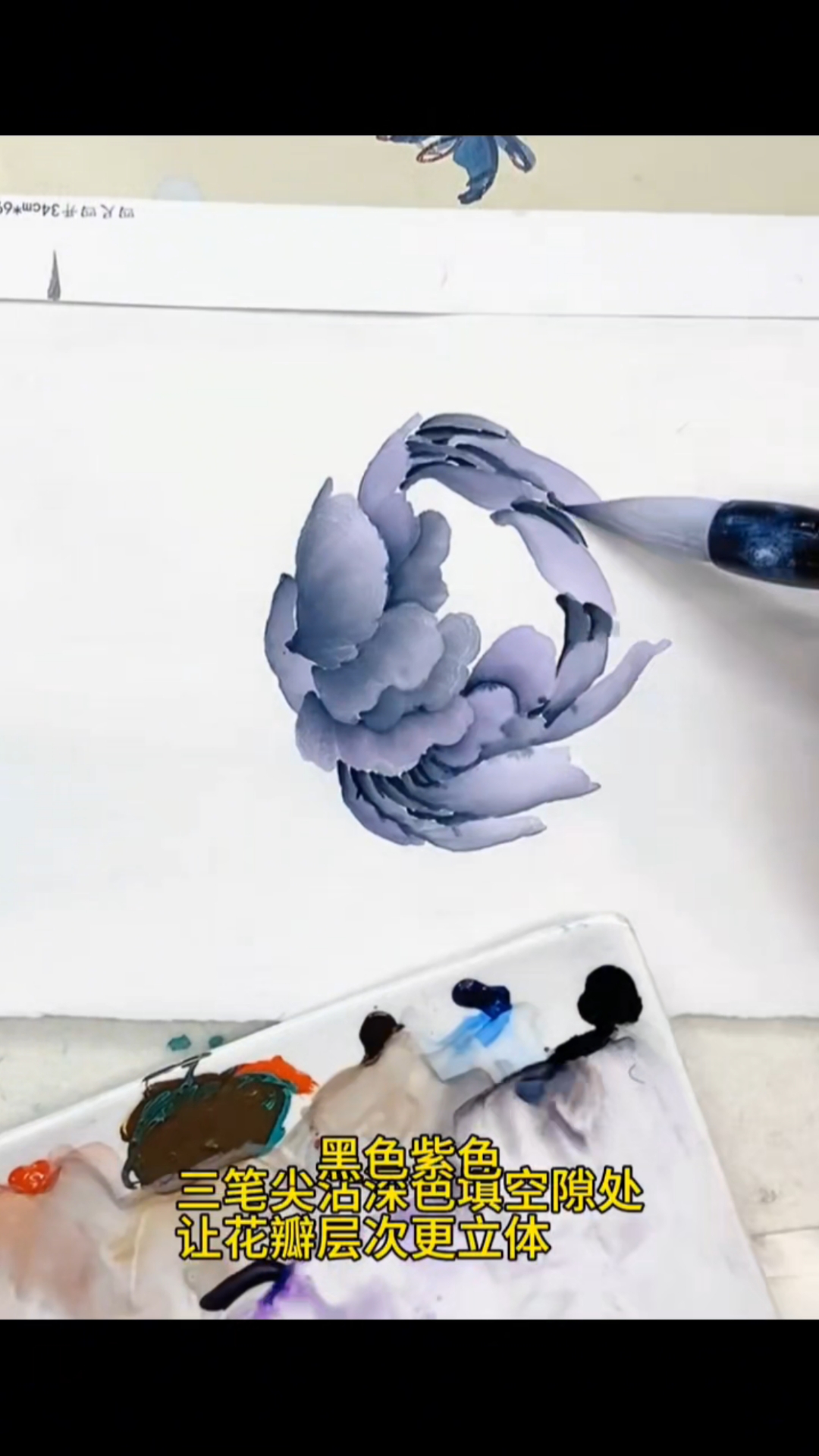 黑灰色包菜牡丹绘画过