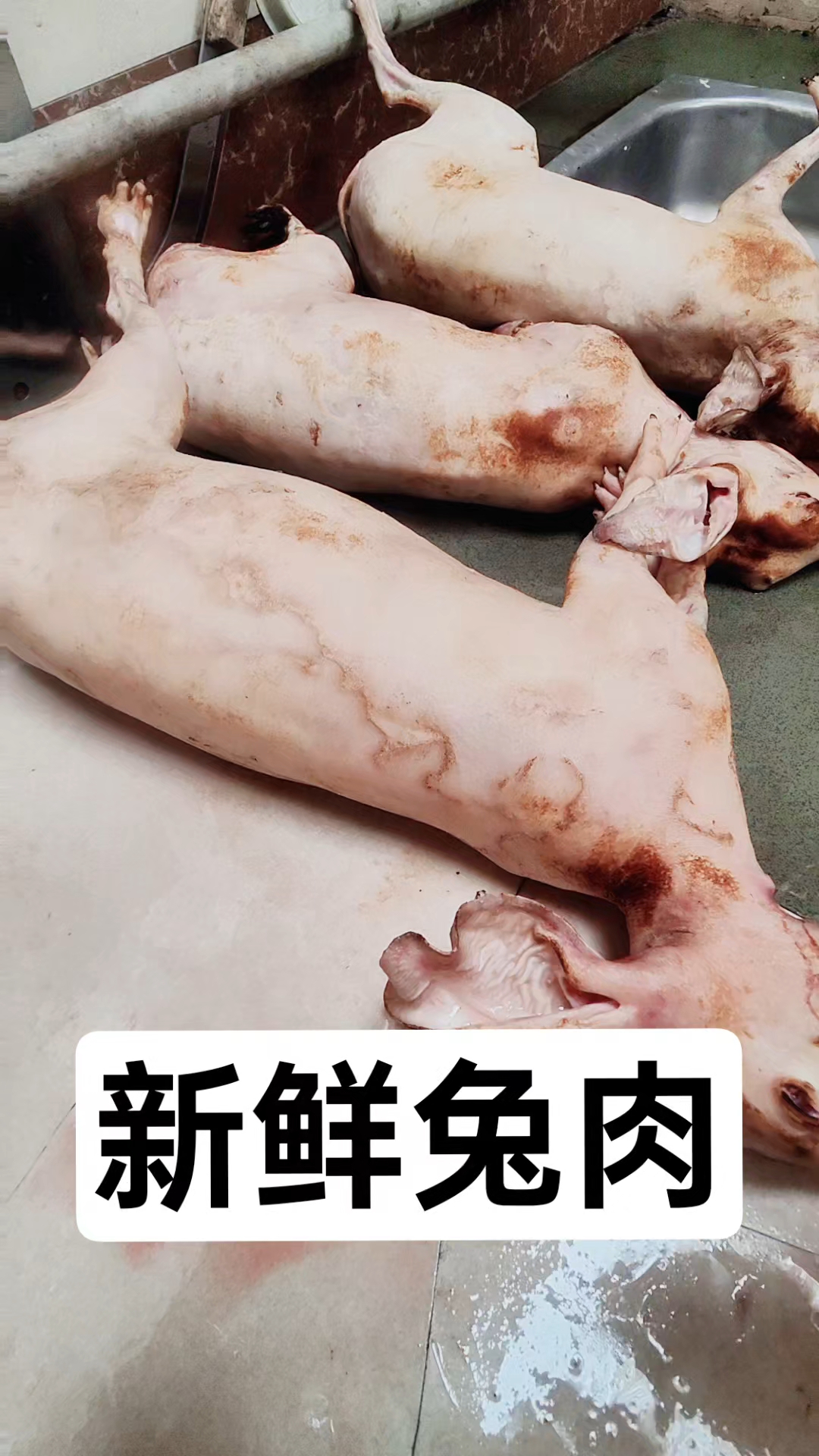 新鲜兔肉,#广西新鲜兔肉#新鲜兔肉#兔肉