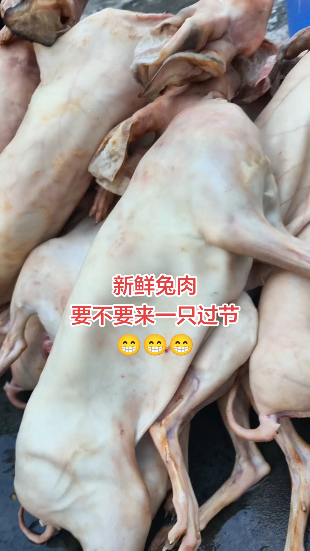 有没有不会煮兔肉的?要不要教你煮一道爆炒玉兔?#新鲜兔肉 #