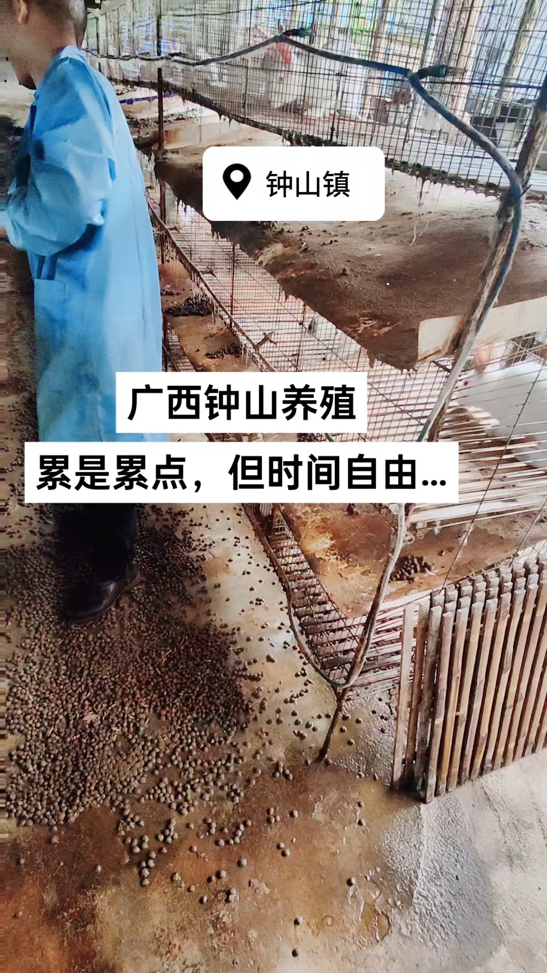 广西钟山养殖基地,时间自由职业!#广西钟山养殖#钟山乡村振兴