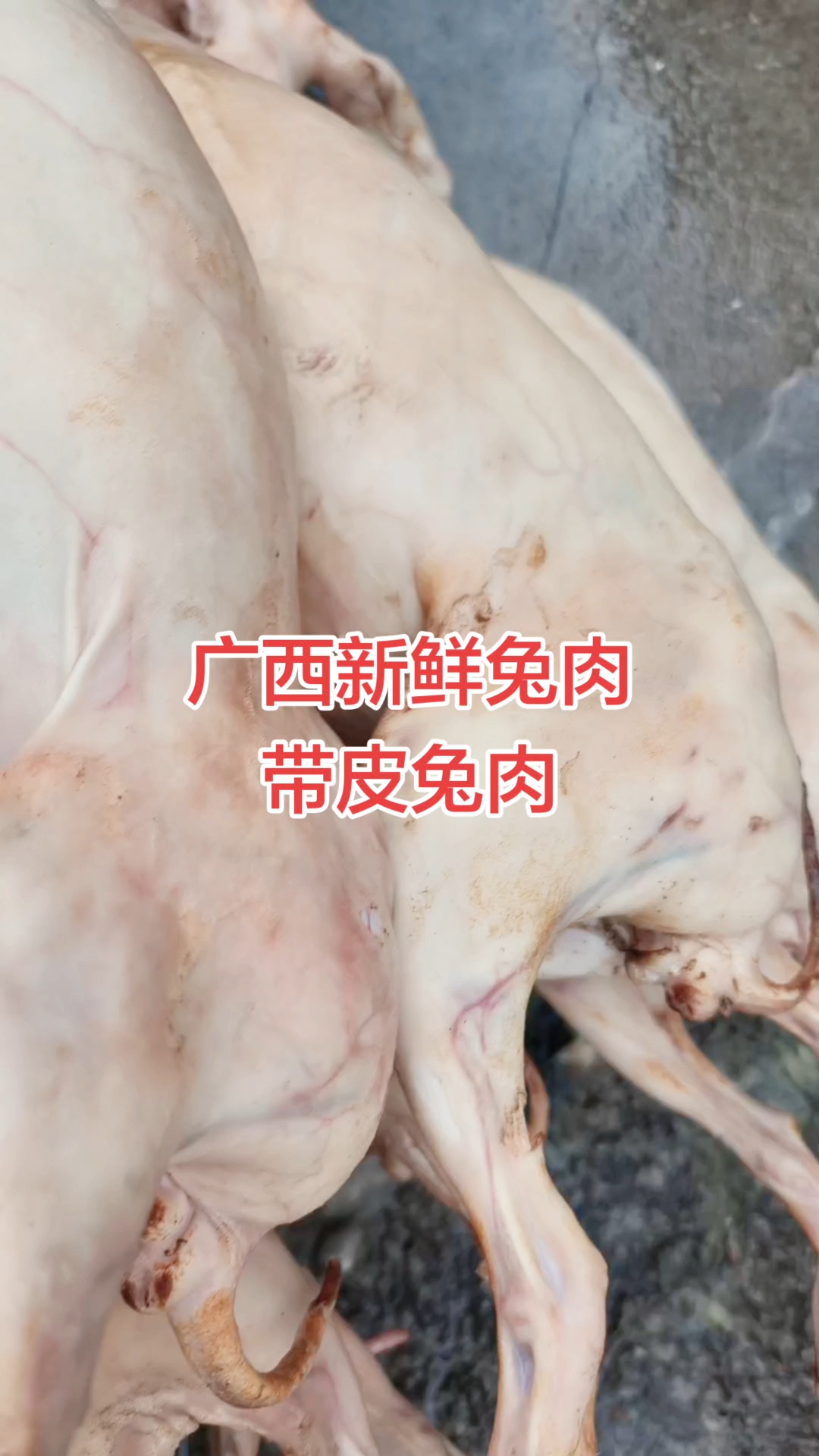 过年要吃兔肉,有没有不会煮的?我可以教你。#广西新鲜兔肉 #新鲜兔肉 #兔肉 #带皮兔肉