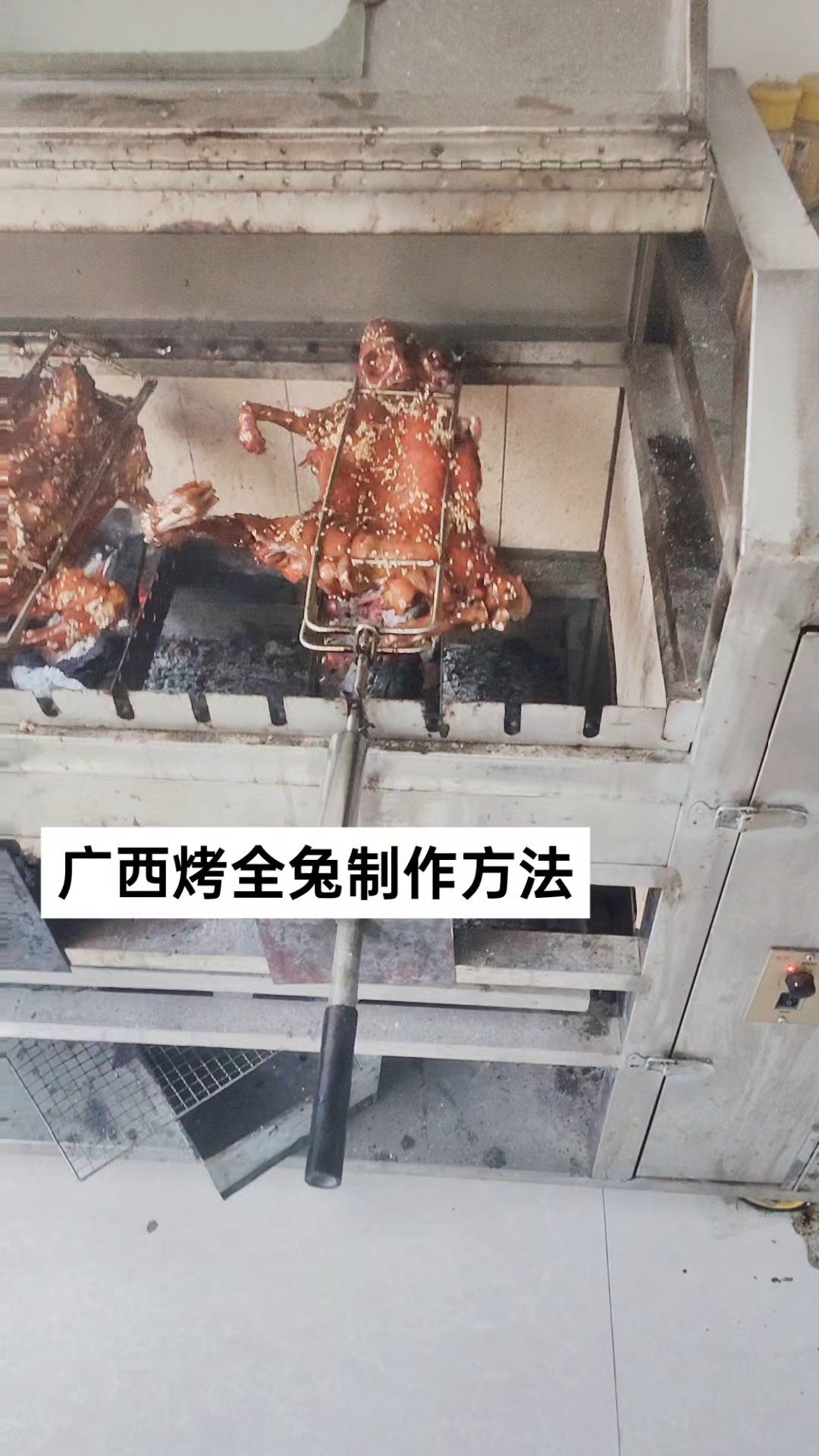 广西烤兔,手撕兔肉!#烤全兔做法#烤兔肉做法教程#烤兔子肉的