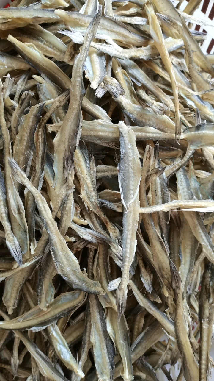 舟山嵊泗海鲜,龙头鱼或者叫豆腐鱼干,柔软无刺!