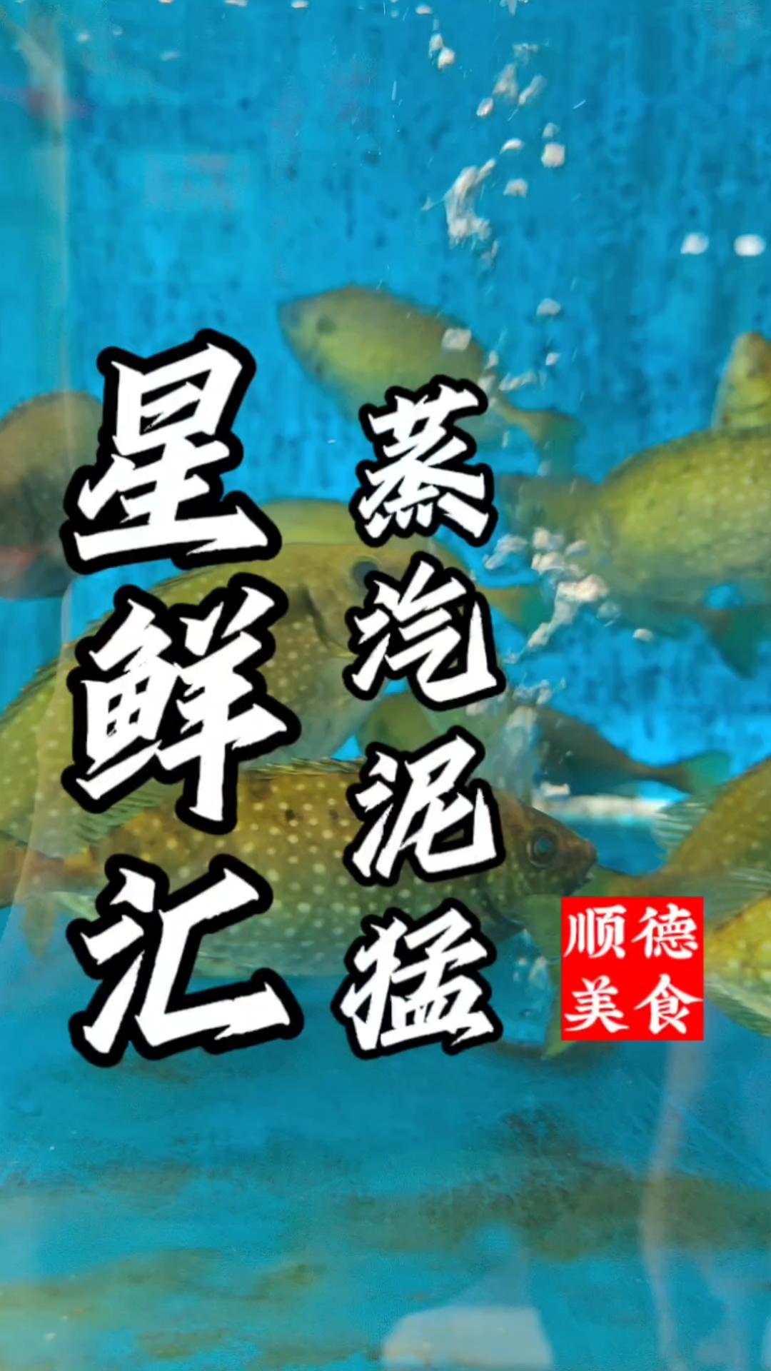 顺德人吃鱼真是登峰造极境,从鱼池到碗里充满技巧