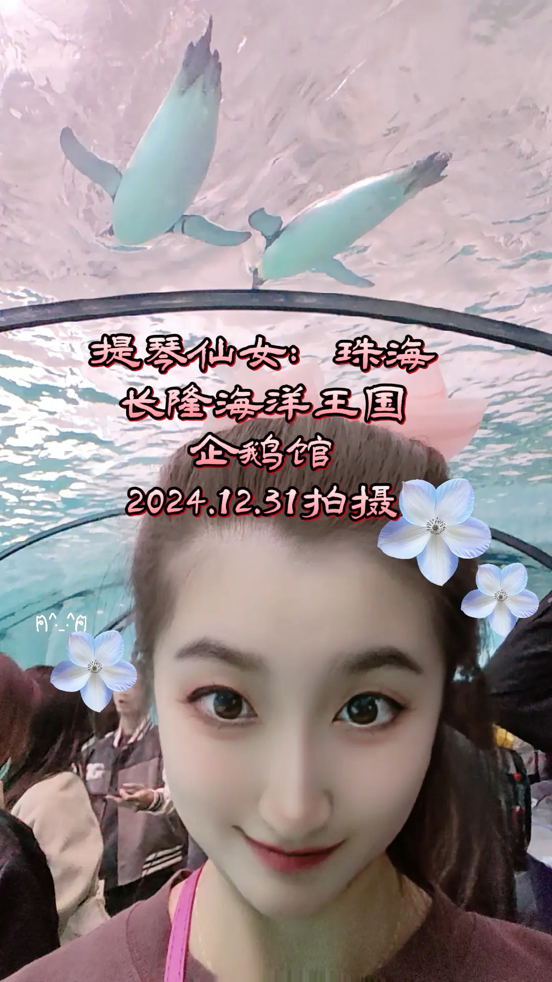 提琴仙女:珠海长隆海洋王国之企鹅馆2024.12.31拍摄