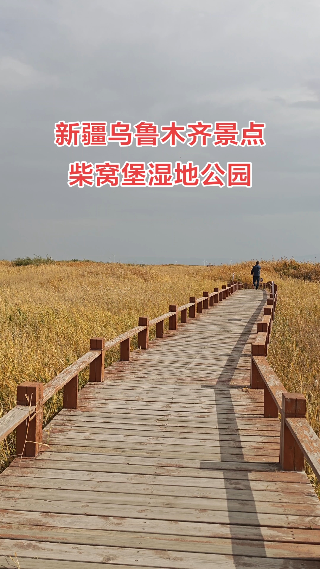 #砥砺奋进七十载天山南北谱华章,乌鲁木齐柴窝堡湿地公园