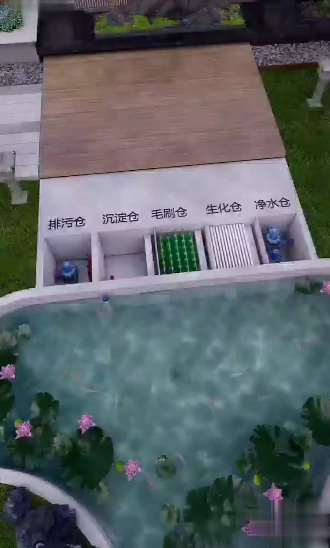 鱼塘水为啥这么清?#庭院设计施工#生态鱼池 #鱼池过滤#