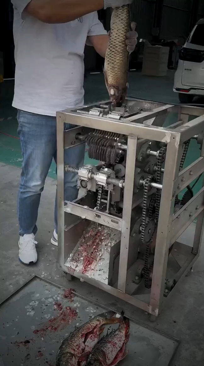 全自动杀鱼去鳞一体机,这速度也太快了