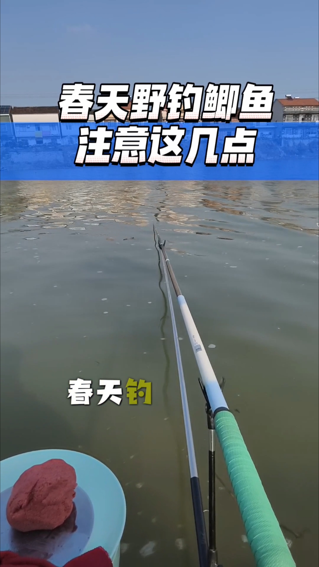 春天钓鲫鱼注意以下几点 #真实生活记录# #钓鱼##野钓鲫鱼#