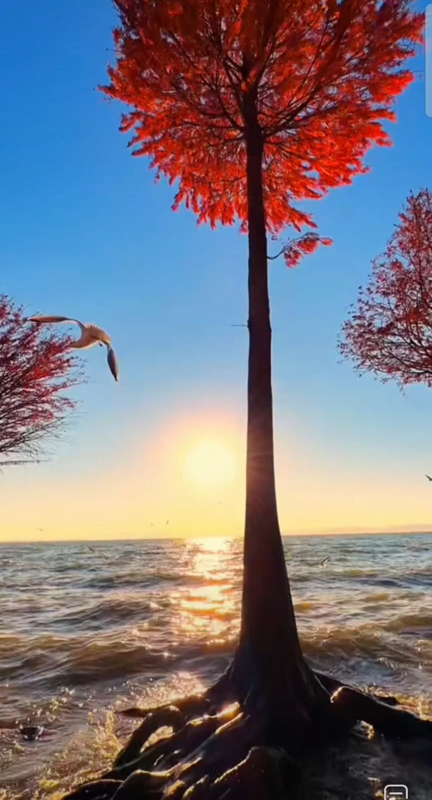 昆明捞鱼河湿地公园