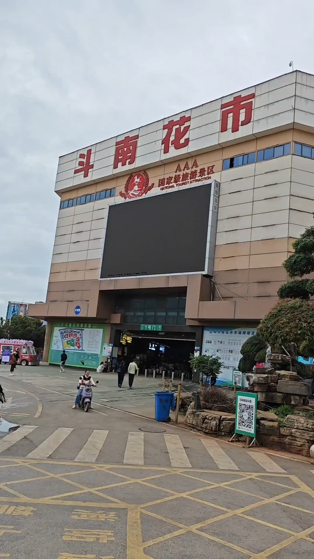 云南斗南鲜花市场,全球最大的鲜花交易市场,用vlog带你欣赏