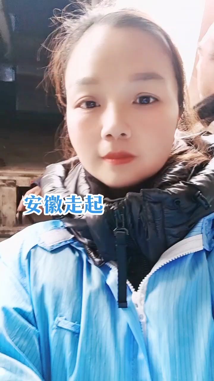 安徽走起#土鸡苗#老母鸡
