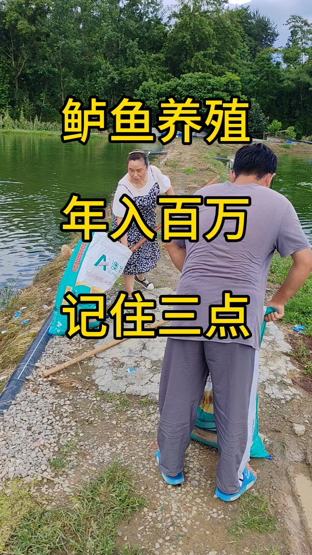 鲈鱼养殖一定要看完