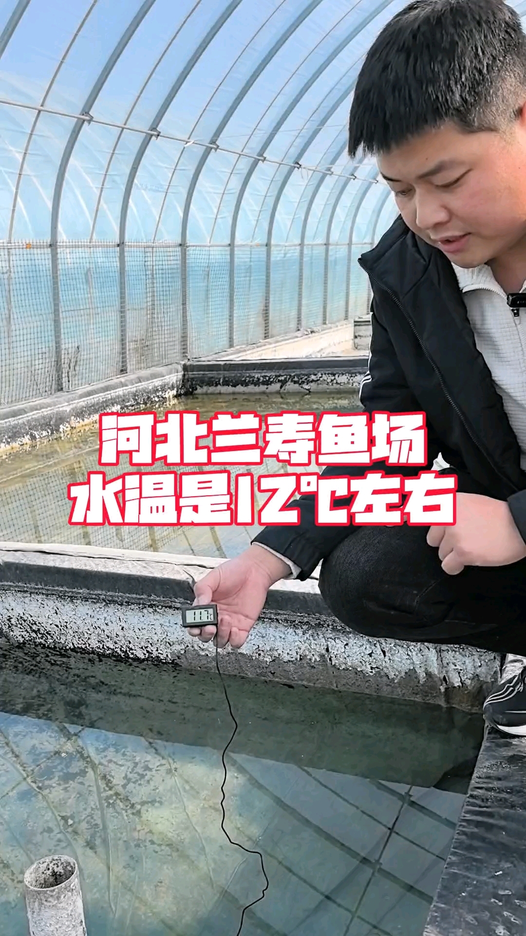 河北兰寿鱼场即将进入繁殖期