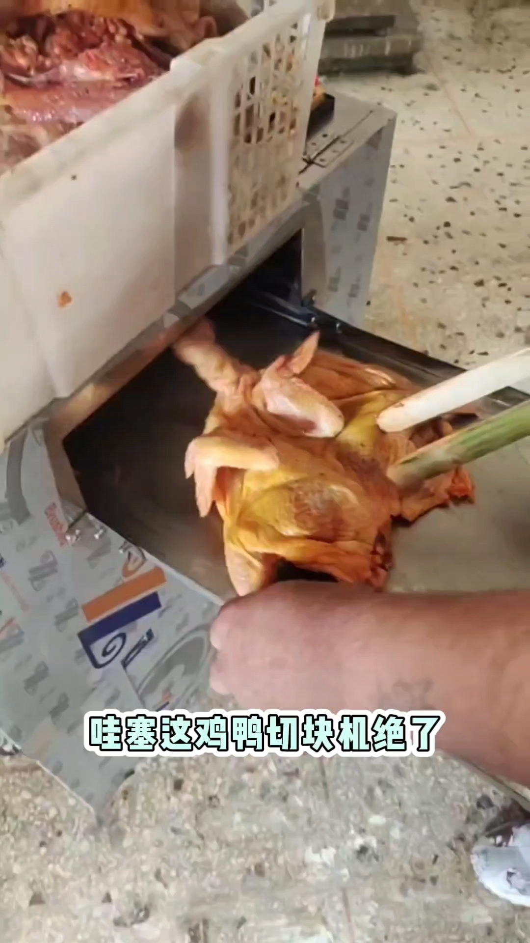 一次成型切块机,鲜鸡微冻都可以切