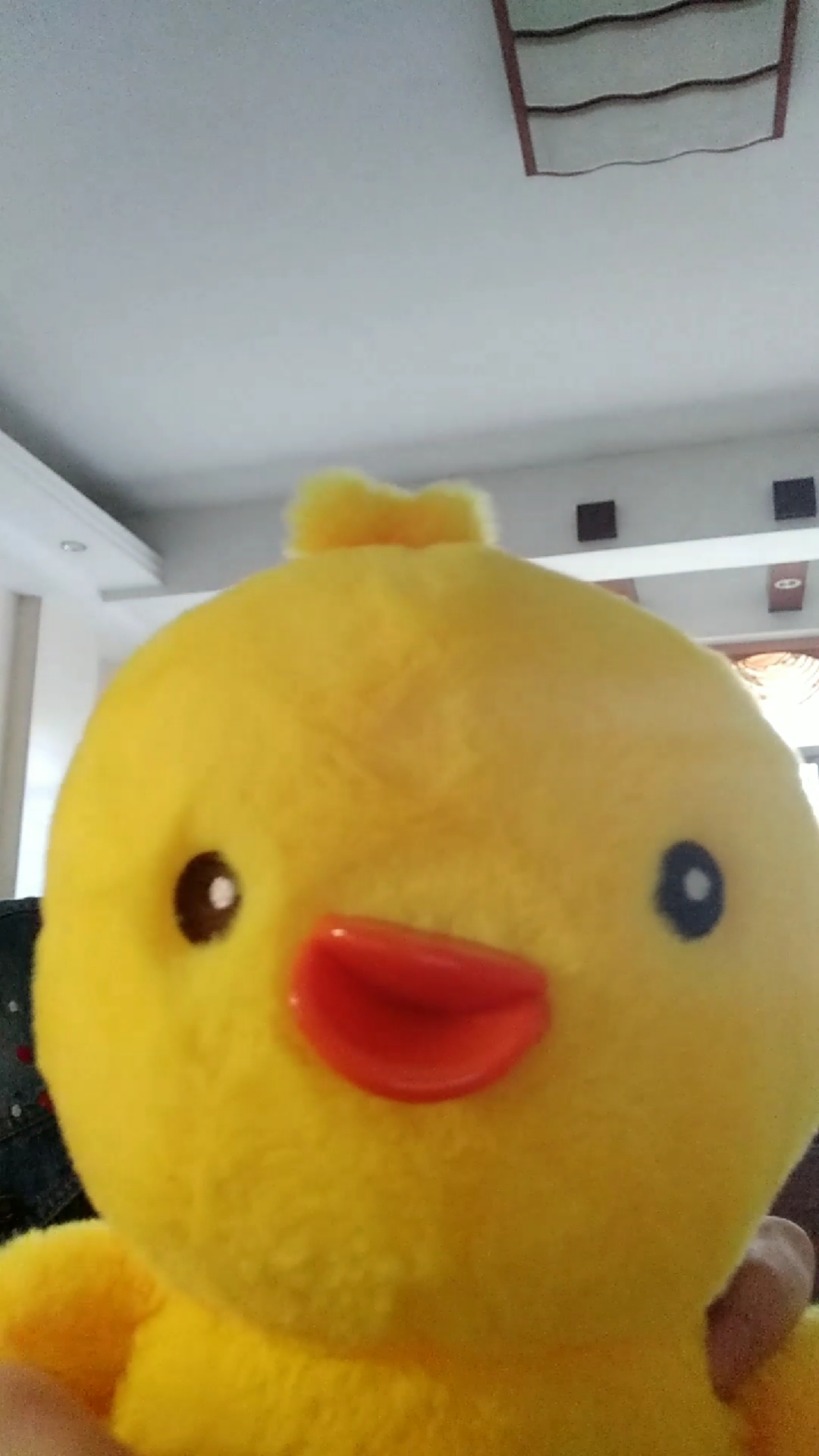 哎哟!小鸡仔好可爱哟!萌萌哒!它在干嘛呀?