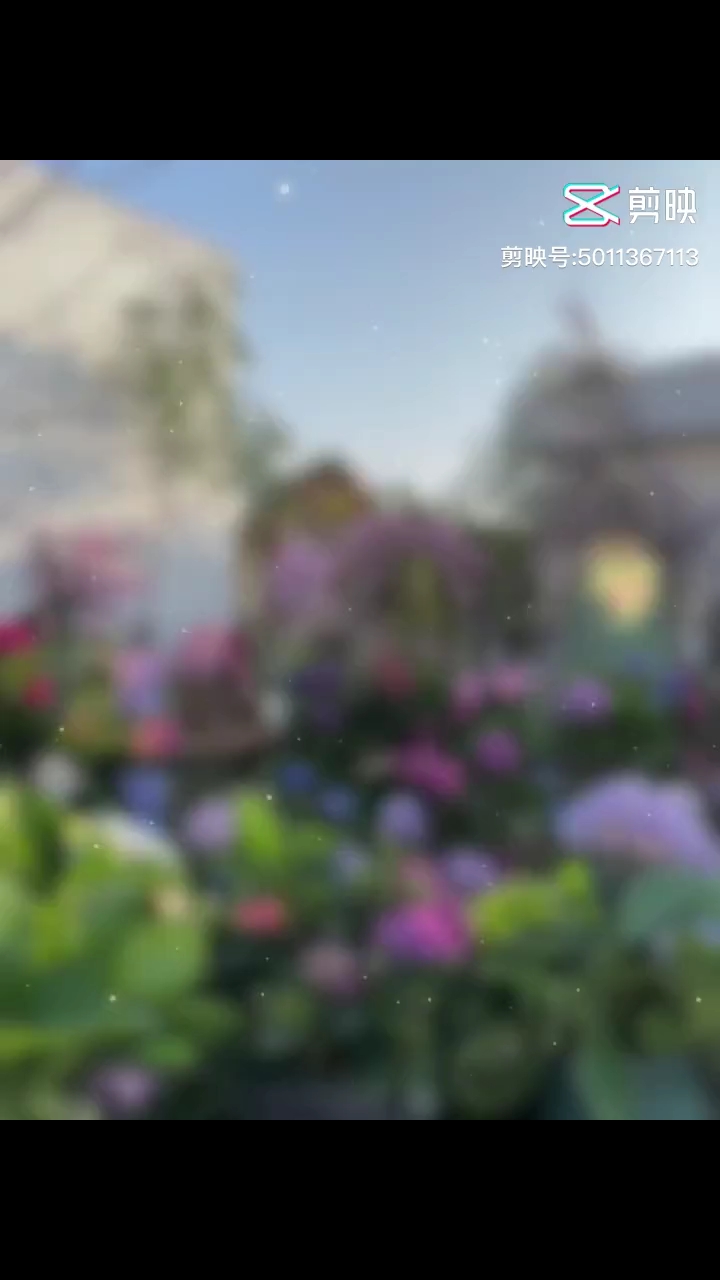我只喜欢你的人设