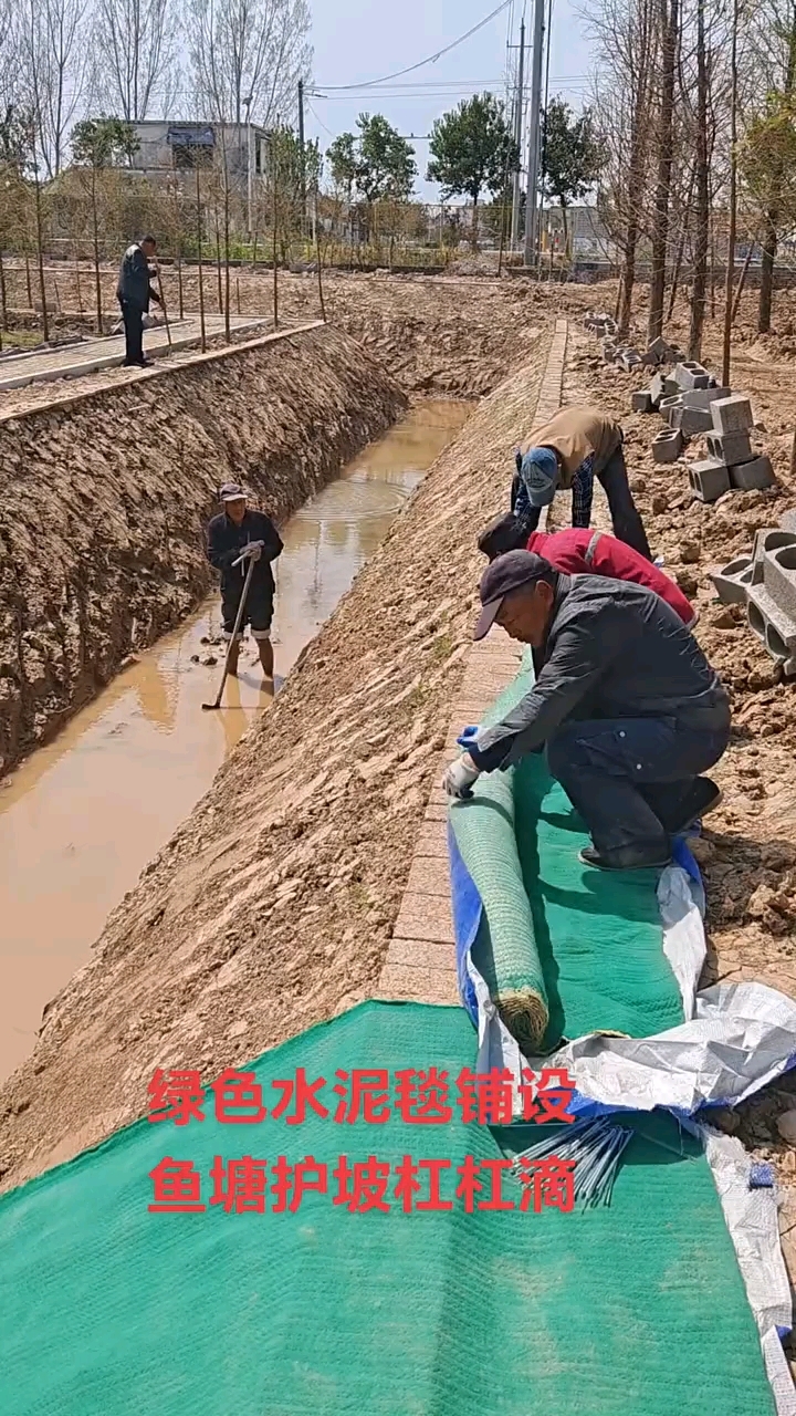 水泥毯鱼塘护坡效果
