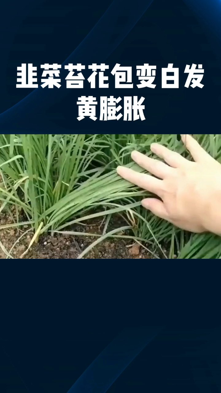 分享视频