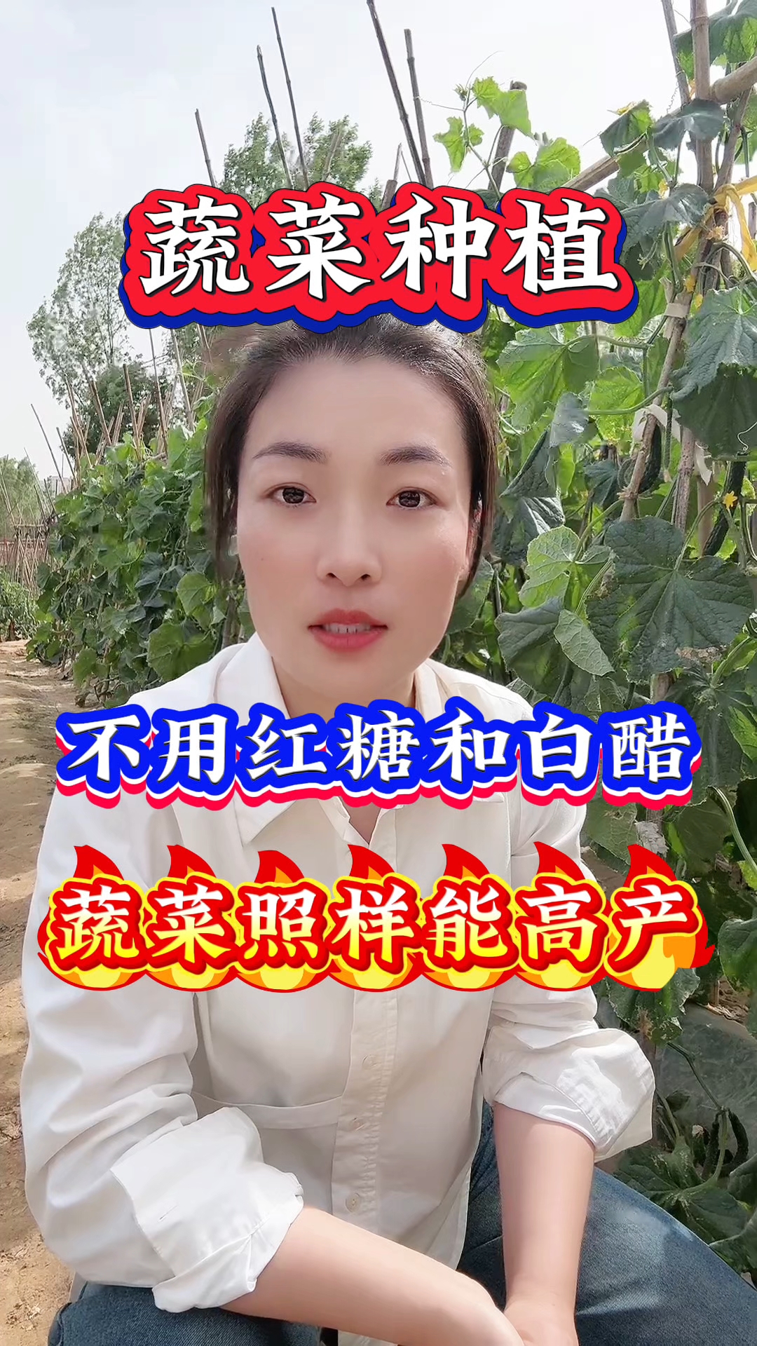 蔬菜种植,不用红糖和白醋,蔬菜照样能高产