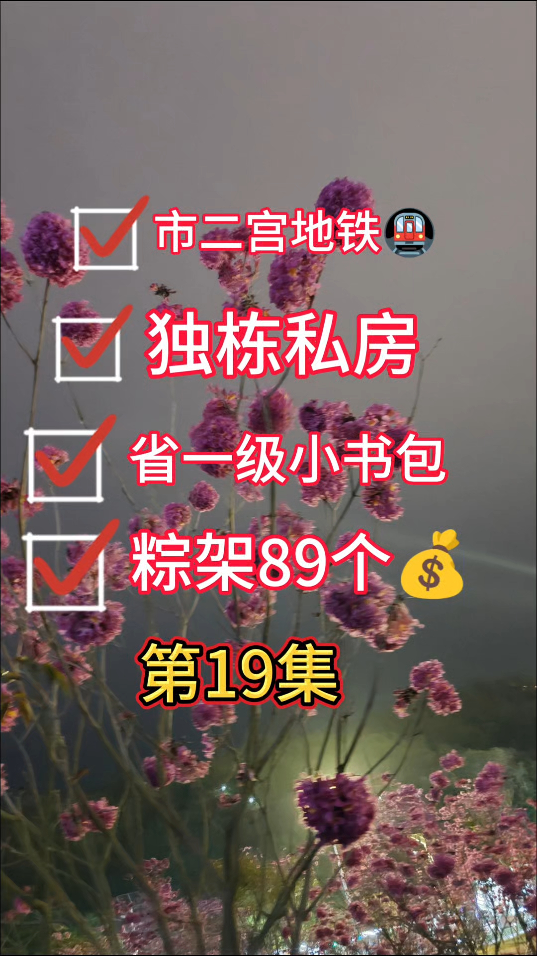 实验小书包  车到门前#错过不再有 #地铁口房 #广州二手房