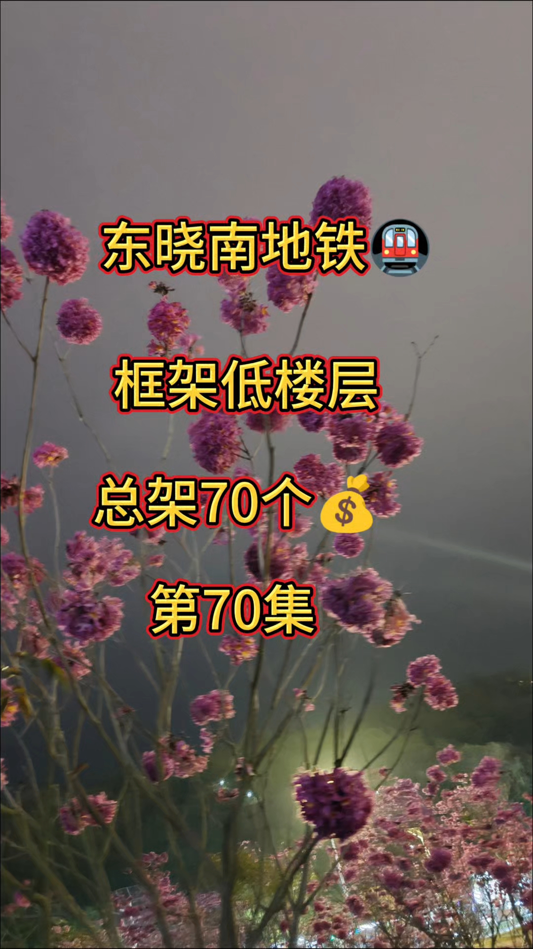  #广州二手房 #笋盘 #刚需上车#捡漏房#海珠区二手房
