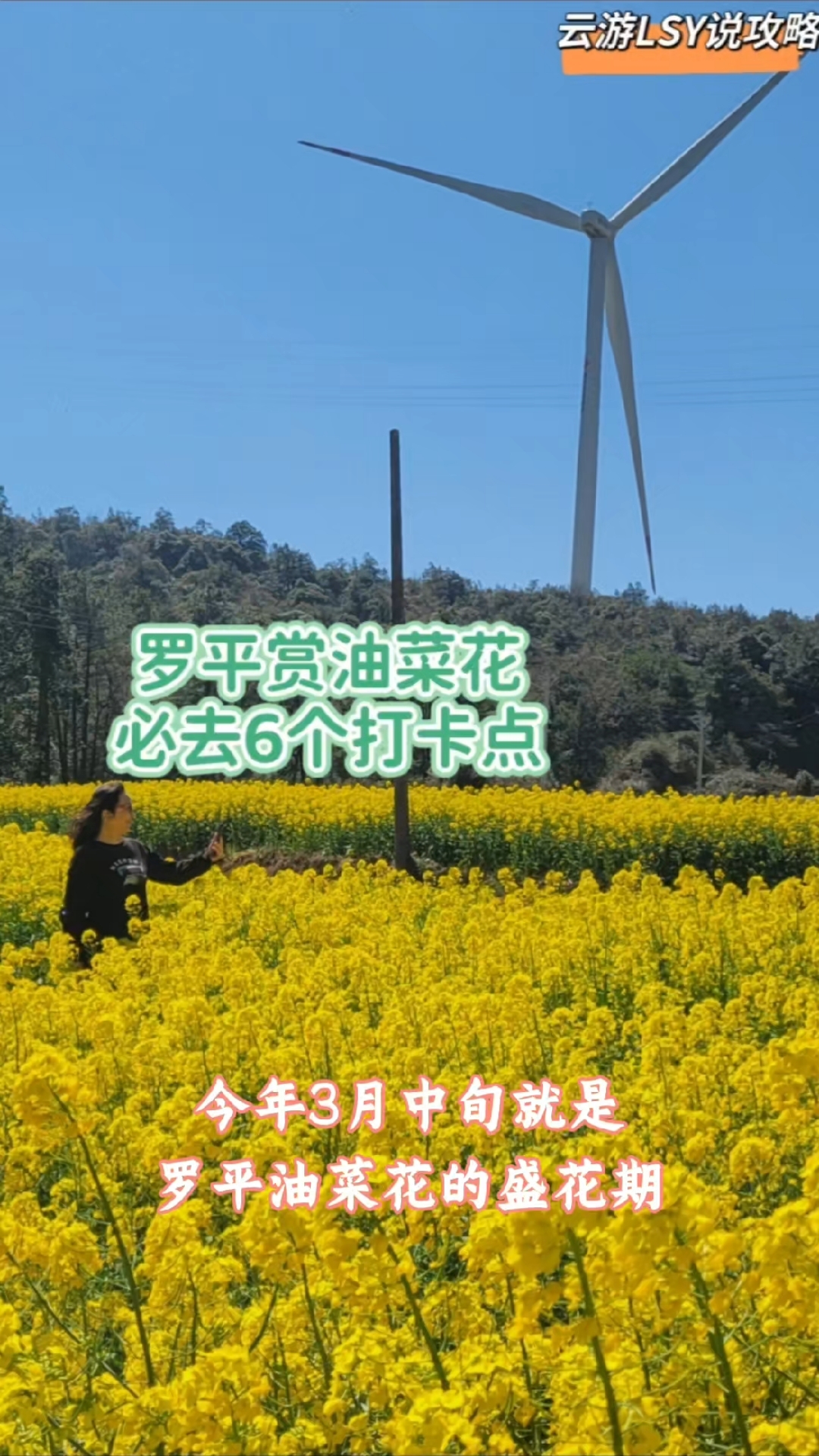 2025去罗平赏油菜花必游的6个景点!