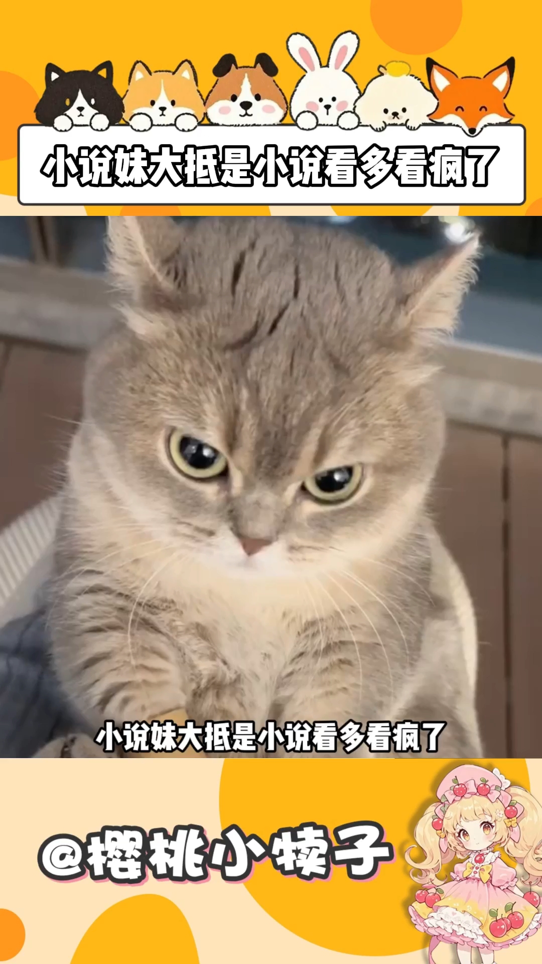 小说妹小说看疯的症状