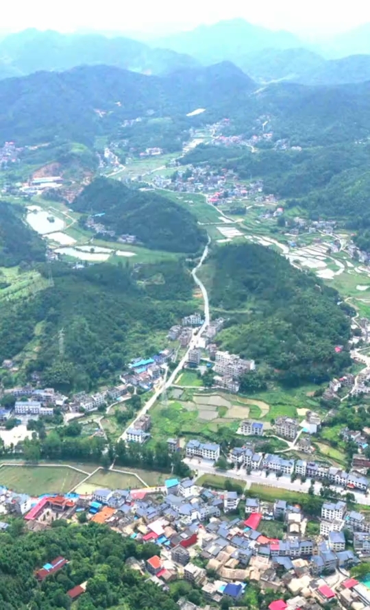 鲶鱼被劈成两半，