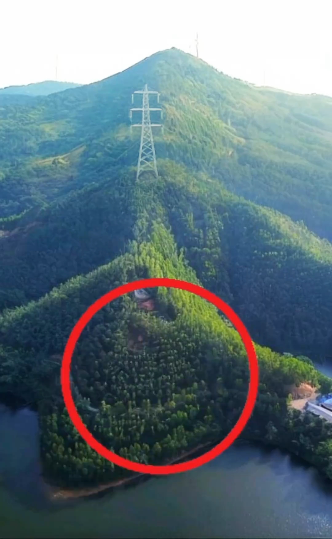 飞天鱼下江喝水