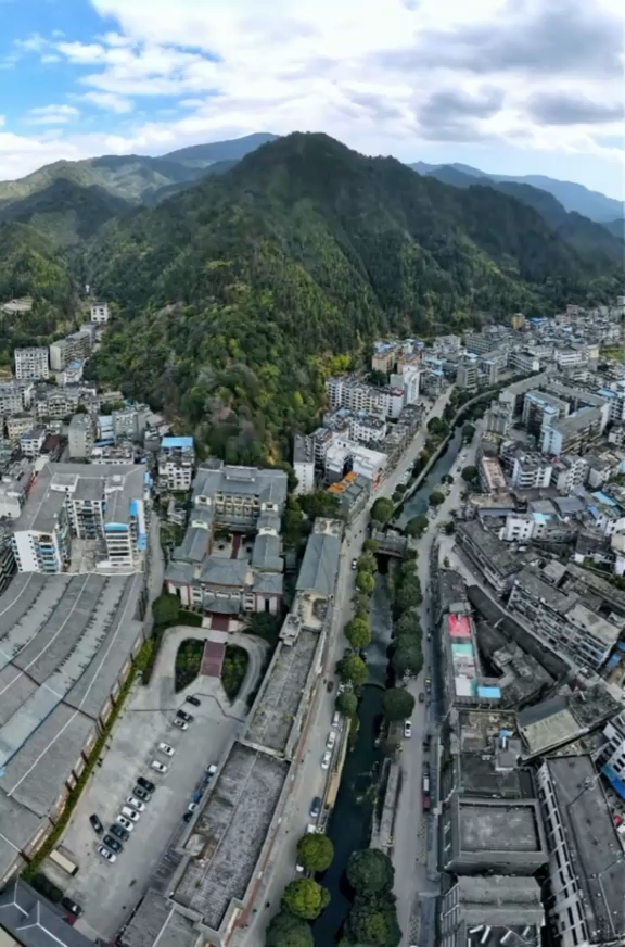 鳄鱼下山