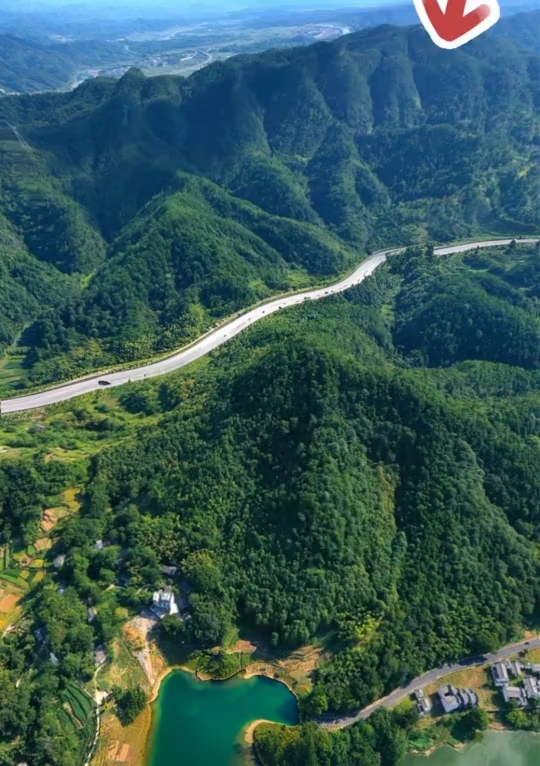 鲶鱼爬山涉水的找水喝