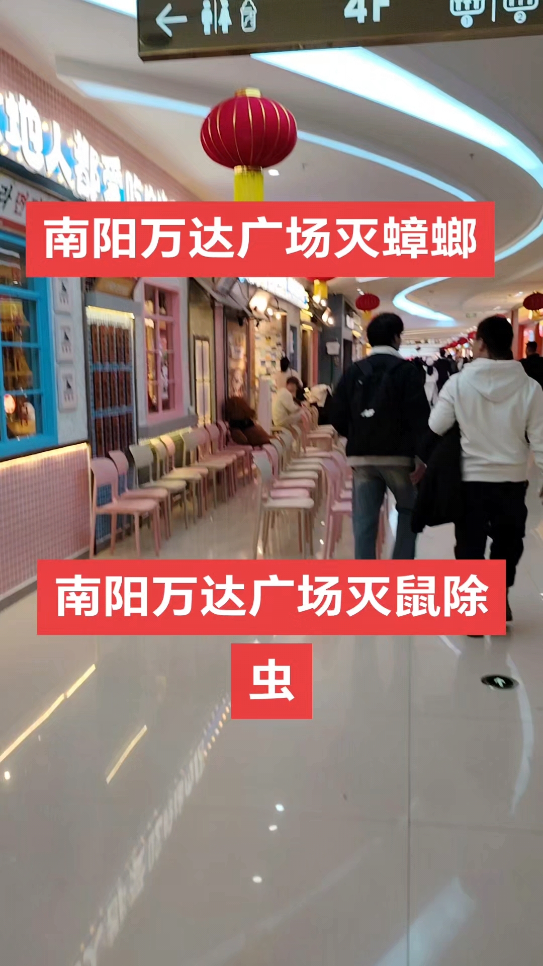 南阳万达广场灭蟑螂,除四害消杀。#南阳灭鼠公司 #南阳灭蟑螂
