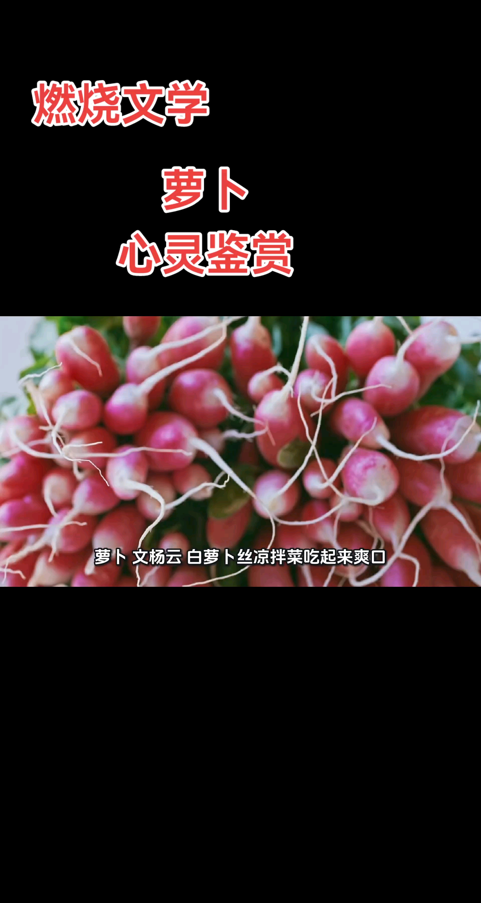 #新大陆计划# 燃烧文学，萝卜，心灵鉴赏